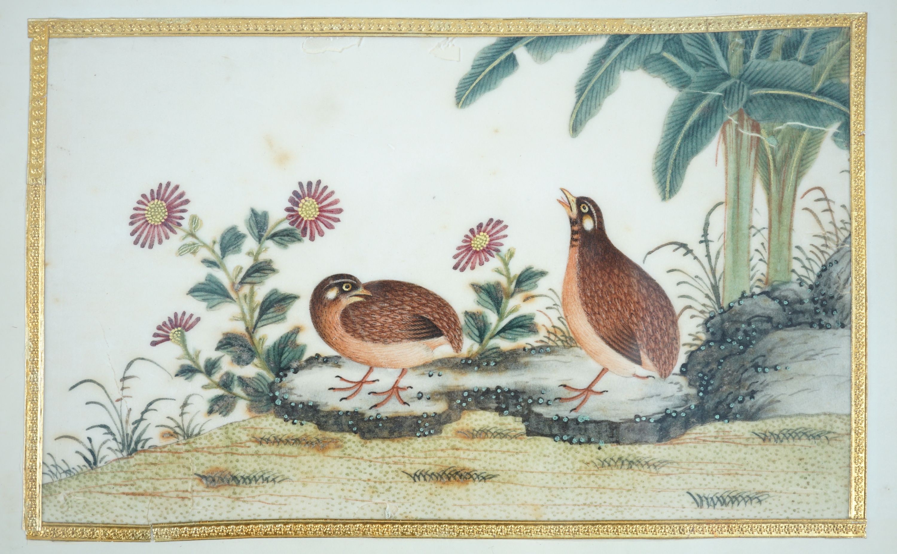 A set of 16 Chinese pith paintings of birds and flowers, mid 19th century, Largest Image 12cm x 18cm